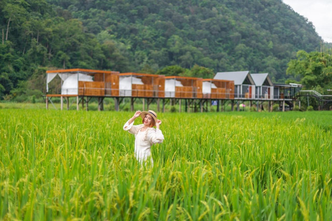 เนเจอร์วัลเล่ย์แคมป์ ปางมะผ้า Hotel ภายนอก รูปภาพ