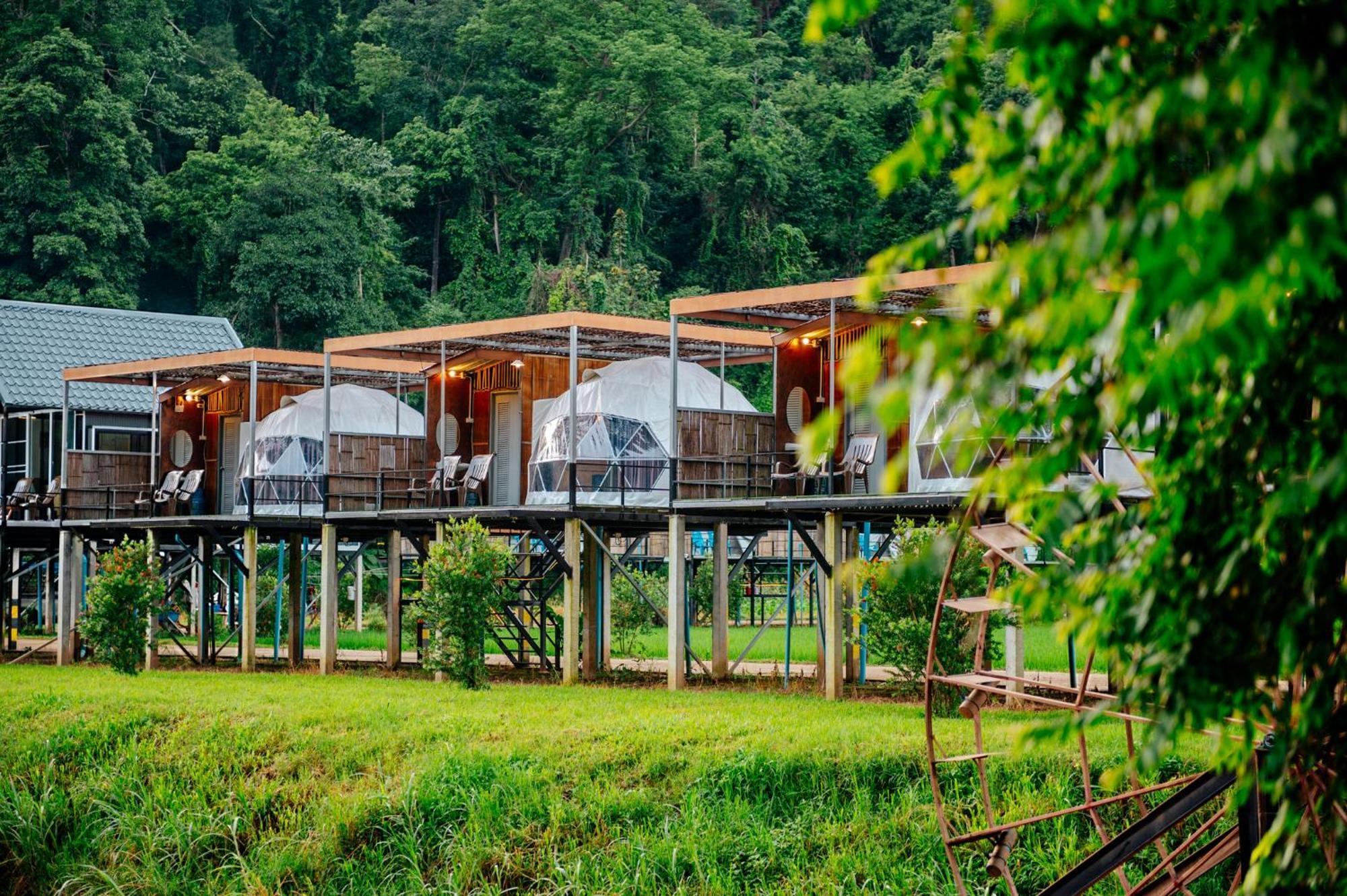 เนเจอร์วัลเล่ย์แคมป์ ปางมะผ้า Hotel ภายนอก รูปภาพ
