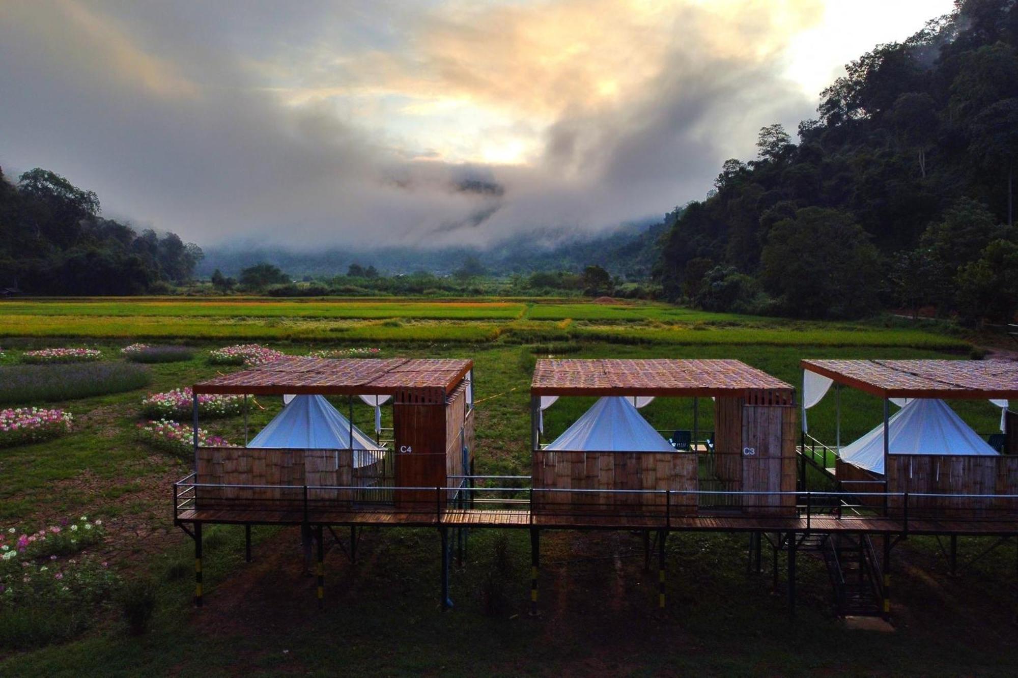 เนเจอร์วัลเล่ย์แคมป์ ปางมะผ้า Hotel ภายนอก รูปภาพ