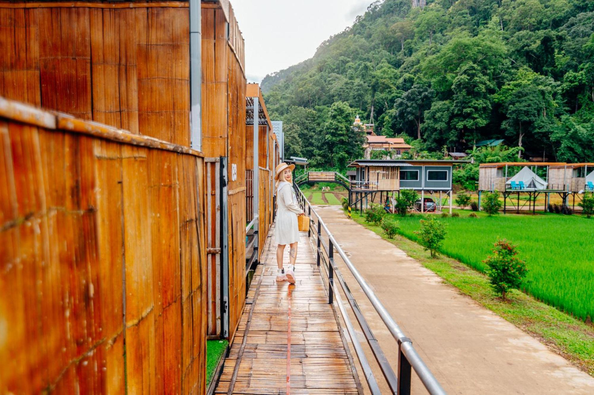 เนเจอร์วัลเล่ย์แคมป์ ปางมะผ้า Hotel ภายนอก รูปภาพ